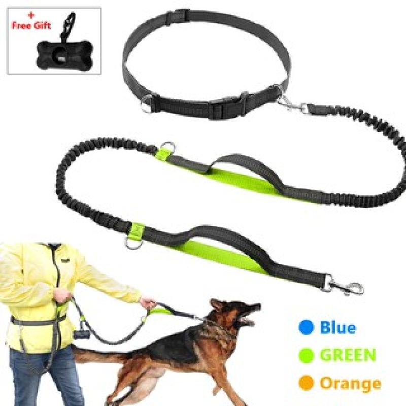 Top 10 Best Dog Leashes in Malaysia 2025 9 Didog-Hands-Free-Dog-Leash