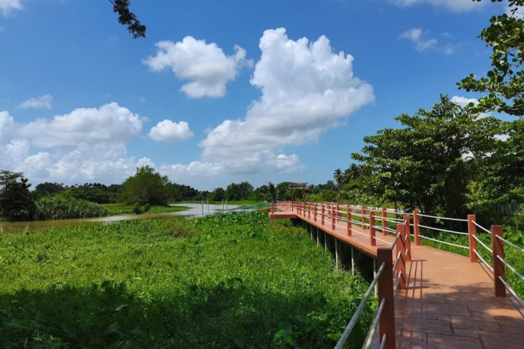 Top 10 Best Things To Do Near Kepala Batas 2025 11 Dive-into-the-Natural-Surroundings-of-Air-Hitam-Dalam-Educational-Forest--