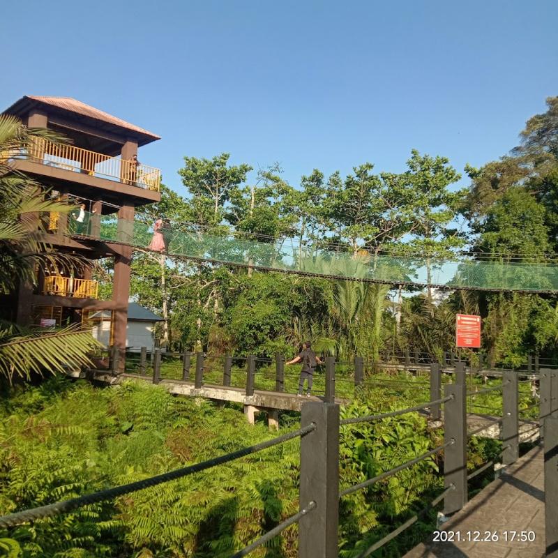 Top 10 Best Things To Do Near Kepala Batas 2025 12 Dive-into-the-Natural-Surroundings-of-Air-Hitam-Dalam-Educational-Forest-