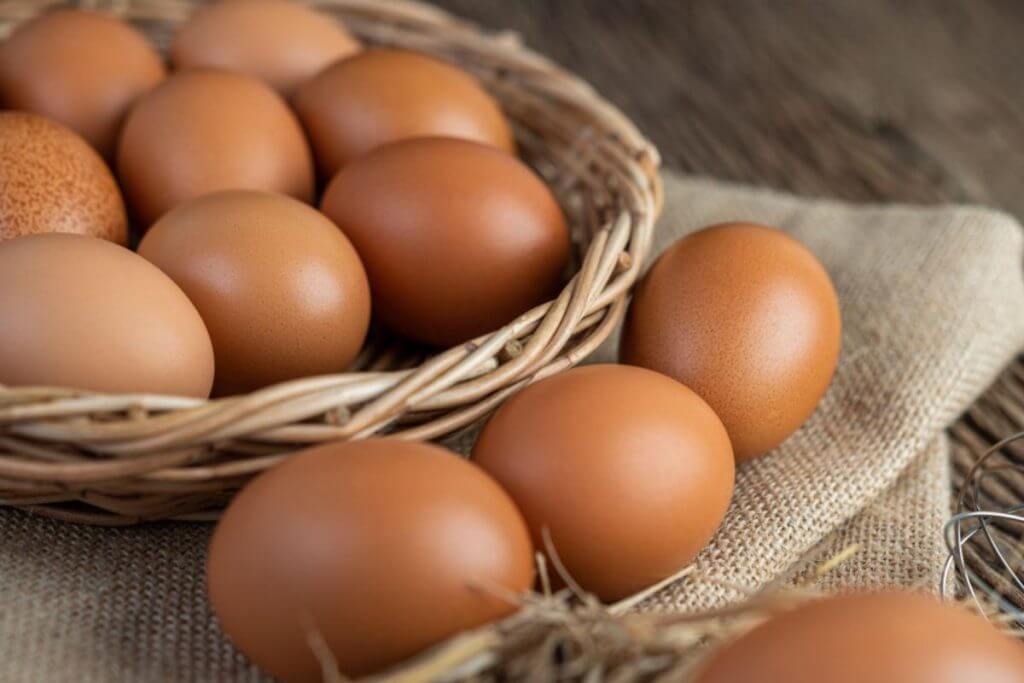 Please Stop Making These Mistakes. Biscuit Baking Tips You Must Know! 3 Eggs-x-