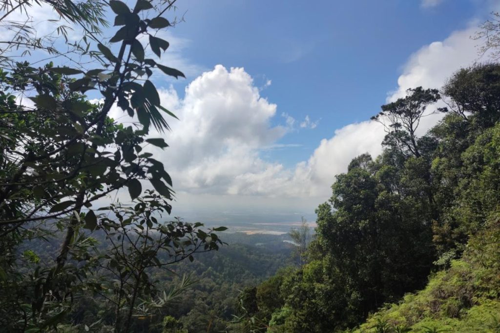 Top 10 Best Things To Do Near Kulai 2025 10 Experience-Untouched-Nature-At-Hutan-Lipur-Gunung-Pulai-