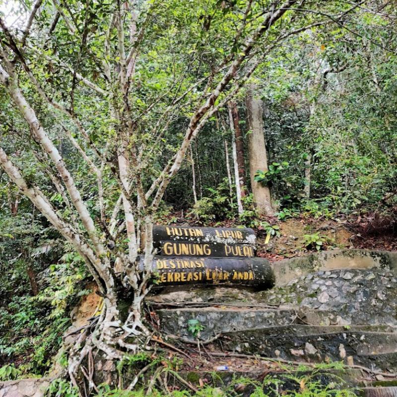 Top 10 Best Things To Do Near Kulai 2025 9 Experience-Untouched-Nature-At-Hutan-Lipur-Gunung-Pulai