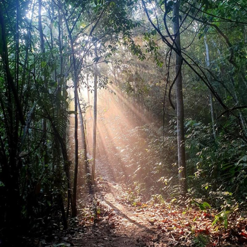 Top 10 Best Things To Do Near Seri Kembangan 2025 7 Explore-Bukit-Serdang-Hiking-Trail