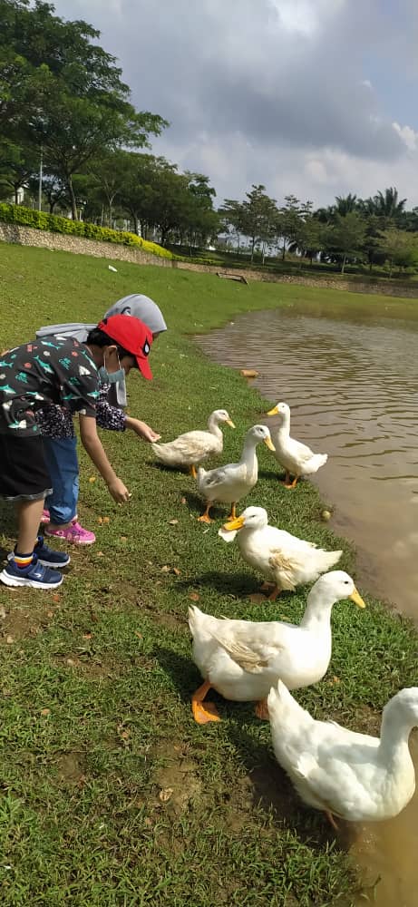 Top 10 Best Things To Do Near Alor Gajah 2025 15 Feed-the-Ducks-At-One-Krubong-Lake-Garden