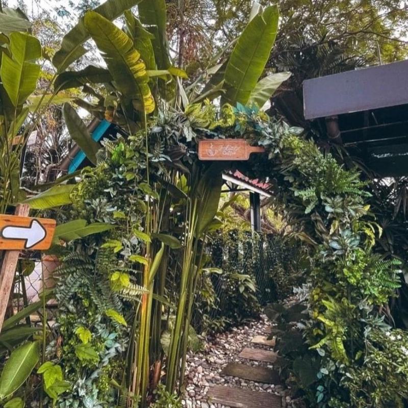 Top 20 Best Cafes In Kuala Lumpur 2025 43 Foliage-Coffee-