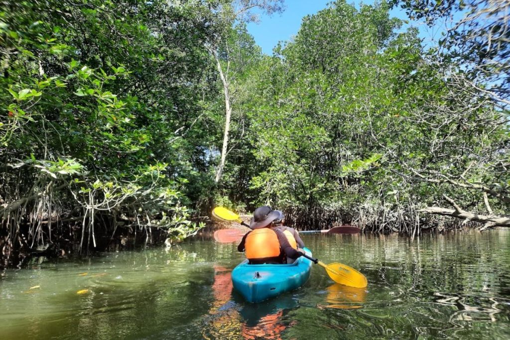 10 Aktiviti Menarik Untuk Dilakukan Berhampiran Sepang 2025 10 Go-Kayaking-At-Sepang-Mangrove-River