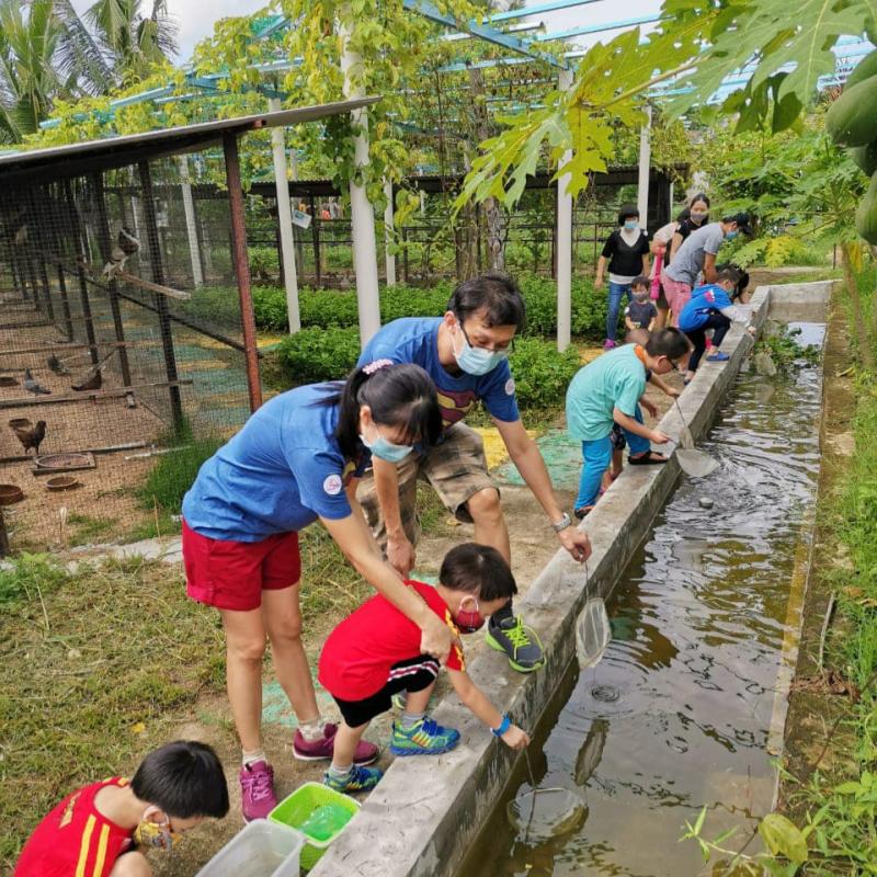 10 Aktiviti Menarik Untuk Dilakukan di Balik Pulau 2025 4 Have-a-Family-Day-At-the-Audi-Dream-Farm-