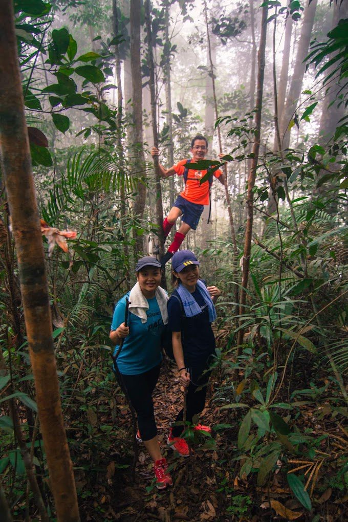 Top 10 Best Things To Do in Kampar 2025 6 Hike-Up-Gunung-Relau-Trailhead--
