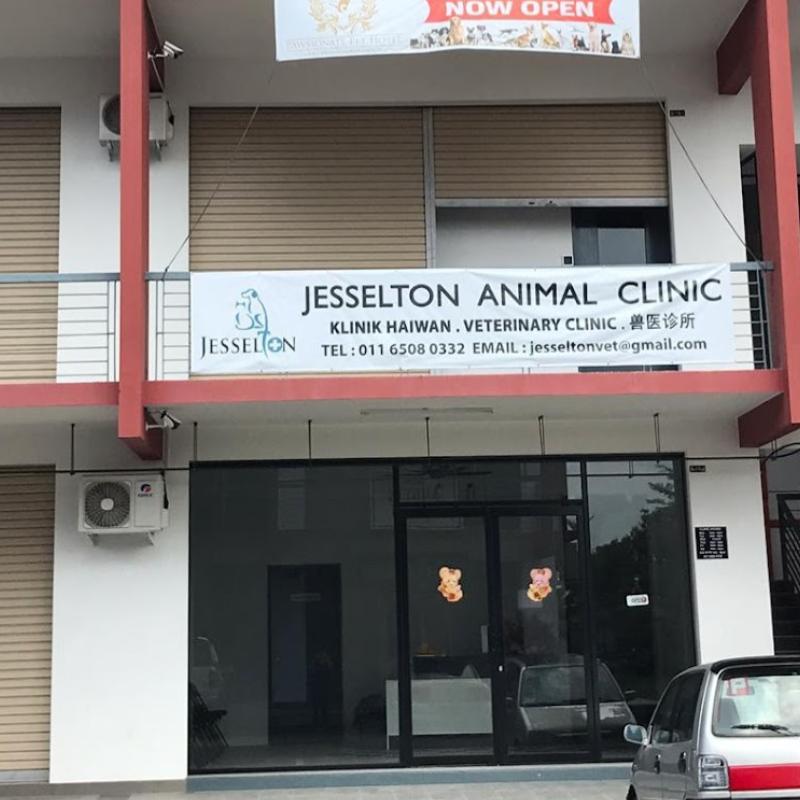 Top 10 Best Pet Clinics in Sabah 2025 16 Jesselton-Animal-Clinic