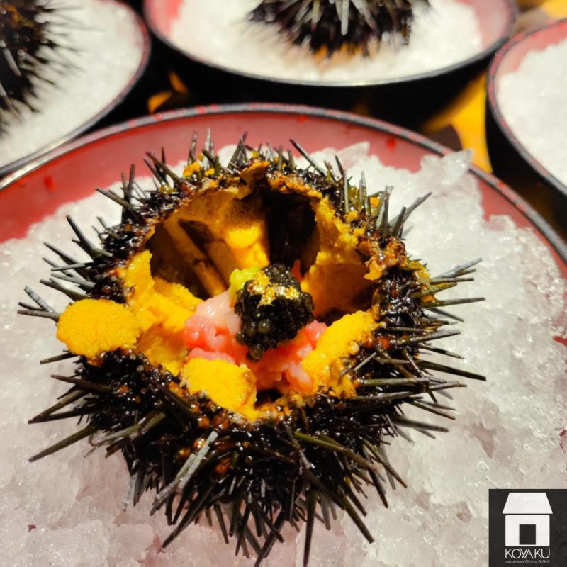 Top 9 Best Japanese Restaurants in Klang Valley 2025 11 Koyaku-Japanese-Dining-Grill-