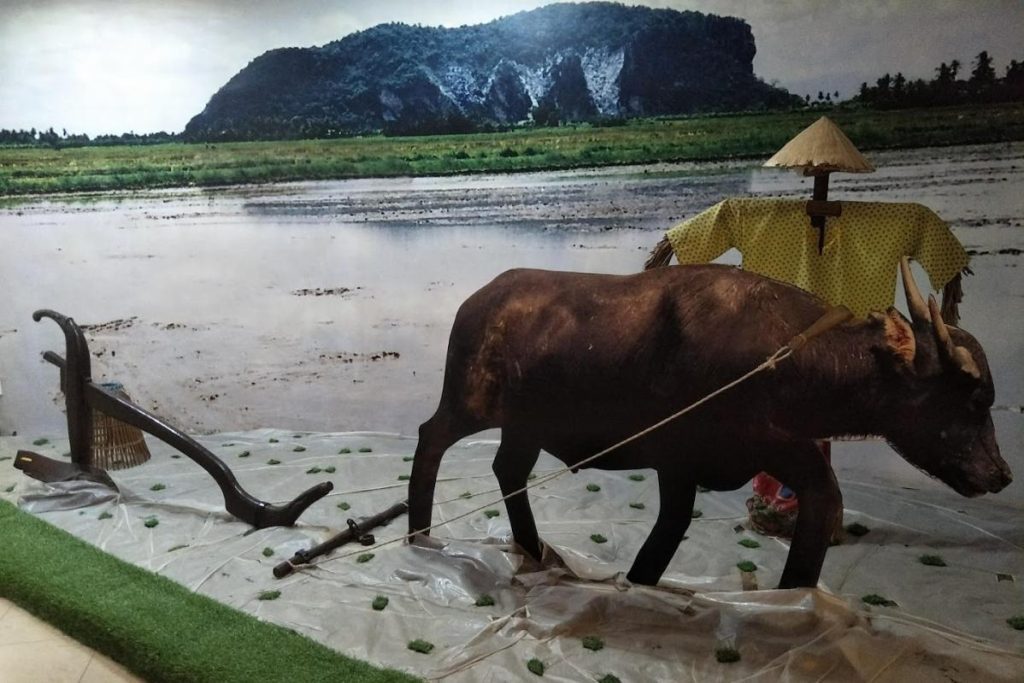 Top 10 Best Things To Do in Kedah 2025 16 Learn-About-Rice-Farming-At-the-Kedah-Paddy-Museum-