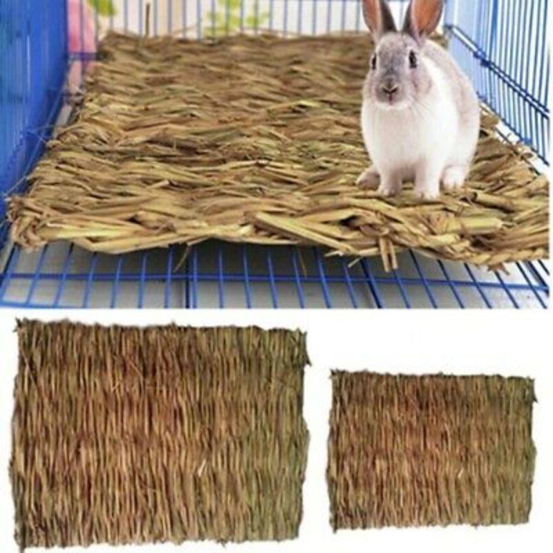 <strong>8 Mainan Arnab Terbaik di Malaysia 2025</strong> 8 Natural-Rabbit-Grass-Chew-Mat-