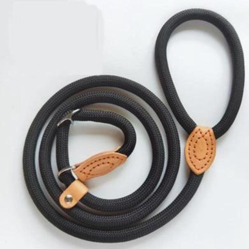 Top 10 Best Dog Leashes in Malaysia 2025 4 PETIME-Dog-Leash