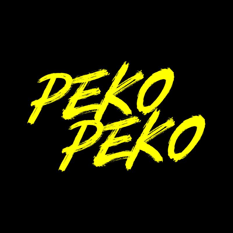 Top 9 Best Japanese Restaurants in Klang Valley 2025 8 Peko-Peko-TTDI-Japas-and-Sake