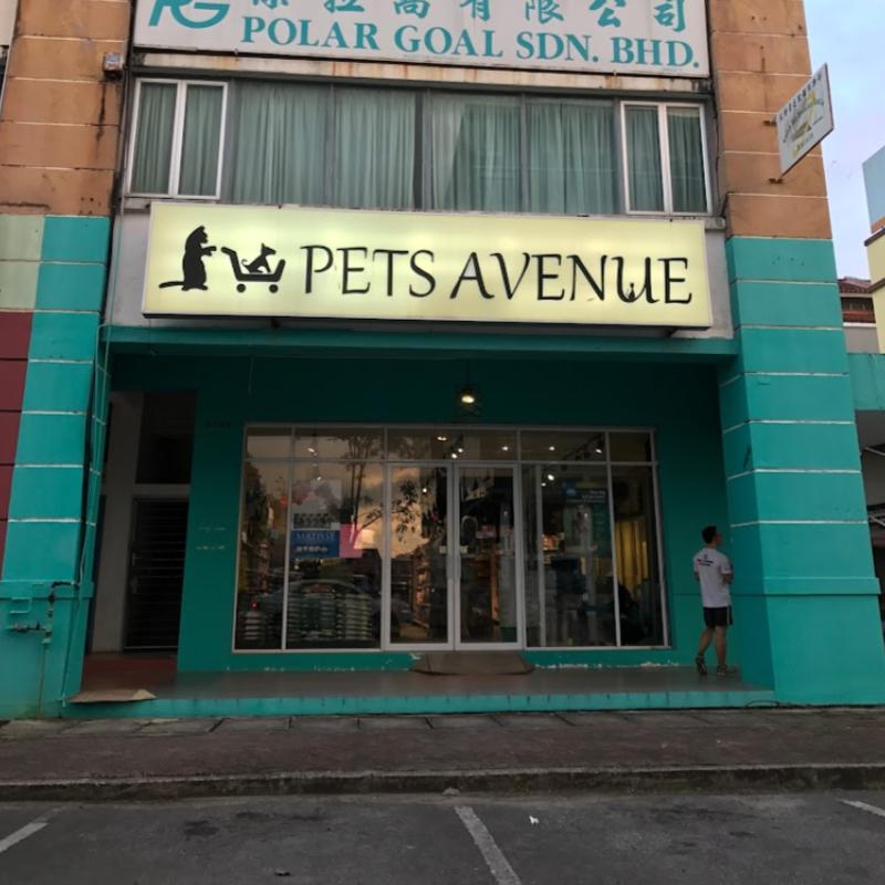 Top 10 Best Pet Shops in Sarawak 2025 8 Pets-Avenue-
