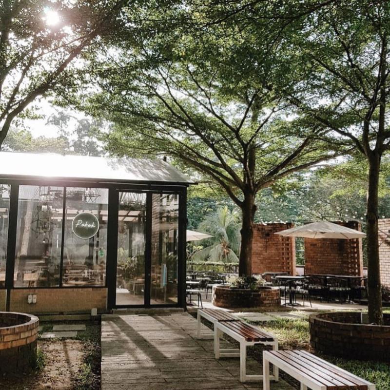 Top 20 Best Cafes In Kuala Lumpur 2025 8 Pokok-KL-
