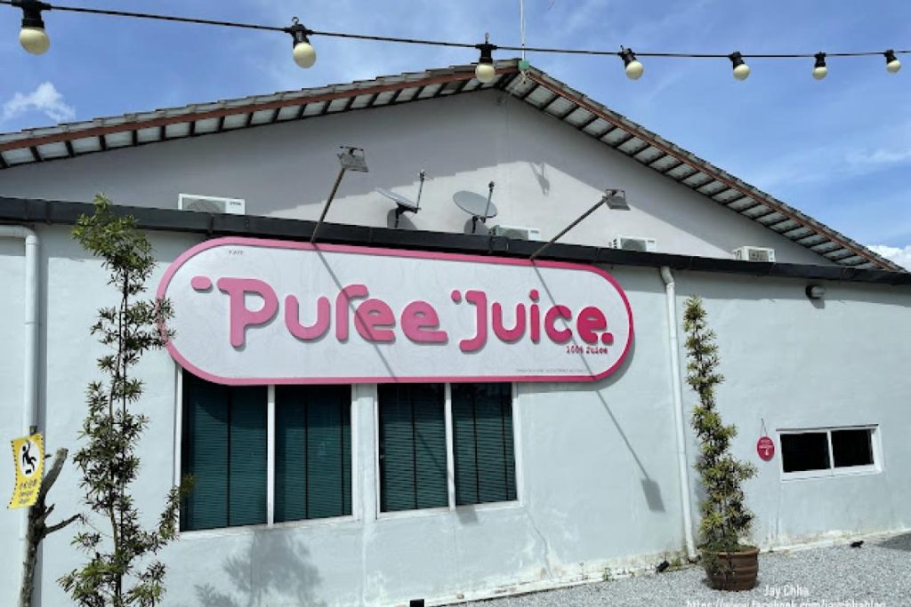 Top 11 Best Smoothies & Smoothie Bowls in Penang 2025 16 Puree-Juice