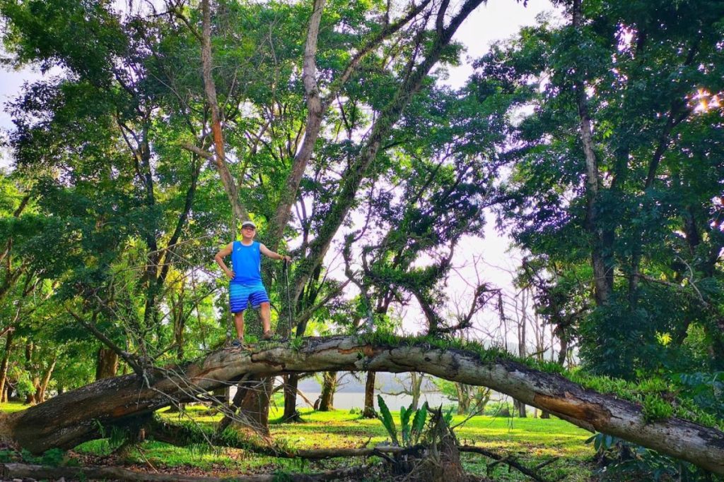 Top 10 Best Things To Do in Kulim 2025 12 Reconnect-with-Nature-At-the-Taman-Rekreasi-Sungai-Parit-Bunian-