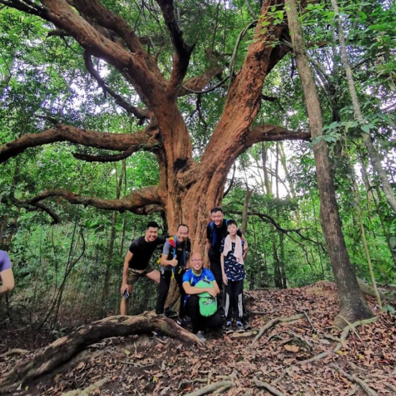 Top 10 Best Things To Do in Bukit Mertajam 2025 10 Relax-Unwind-At-Bukit-Mertajam-Recreational-Forest-