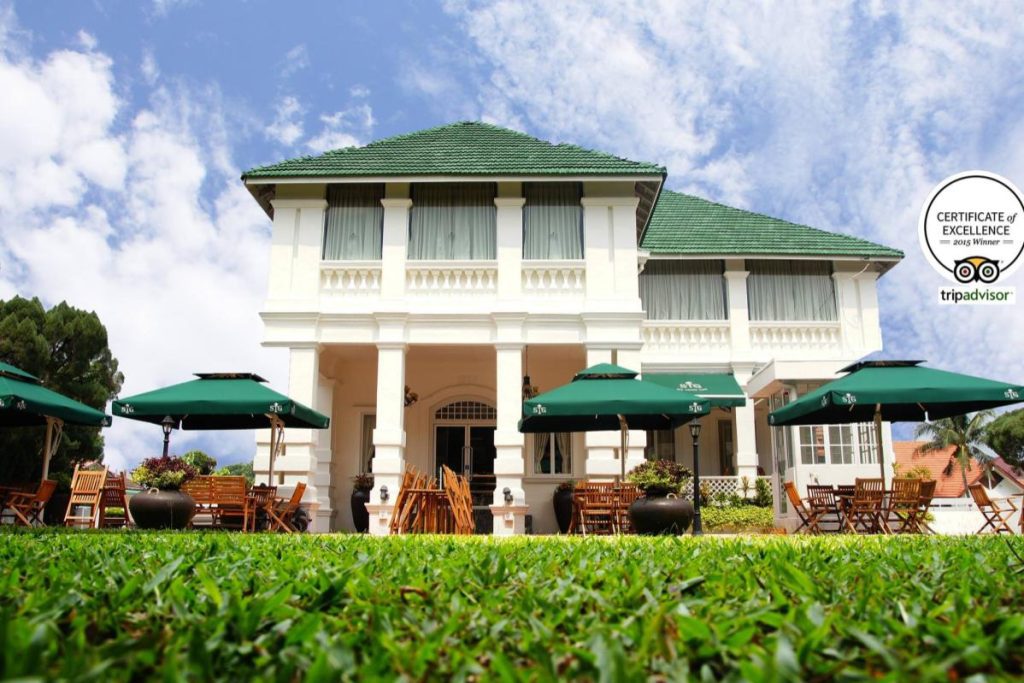 10 Creme Brulee Terbaik di Ipoh 2025 4 STG-Tea-House-Cafe