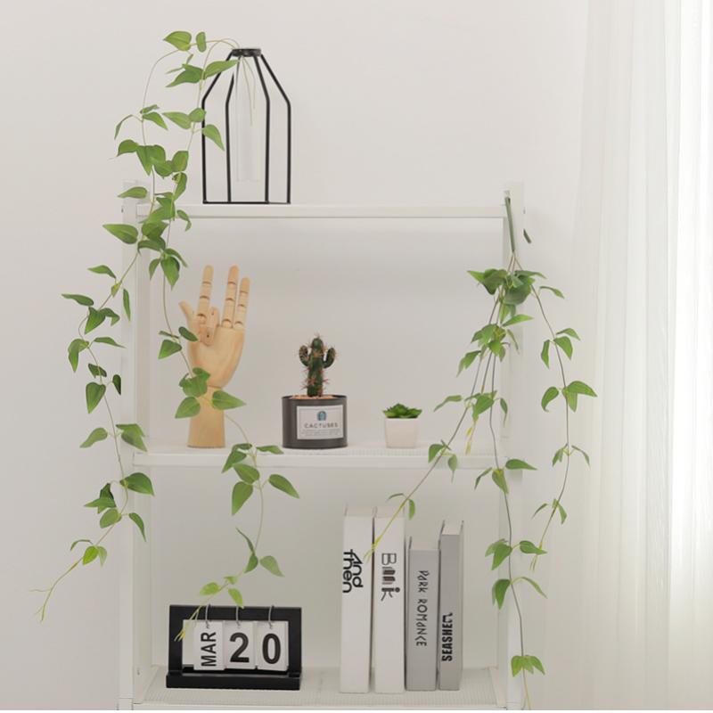 Top 10 Best Plants For Bathrooms in Malaysia 2025 11 Single-Clematis-Leaf-Hanging-Plant