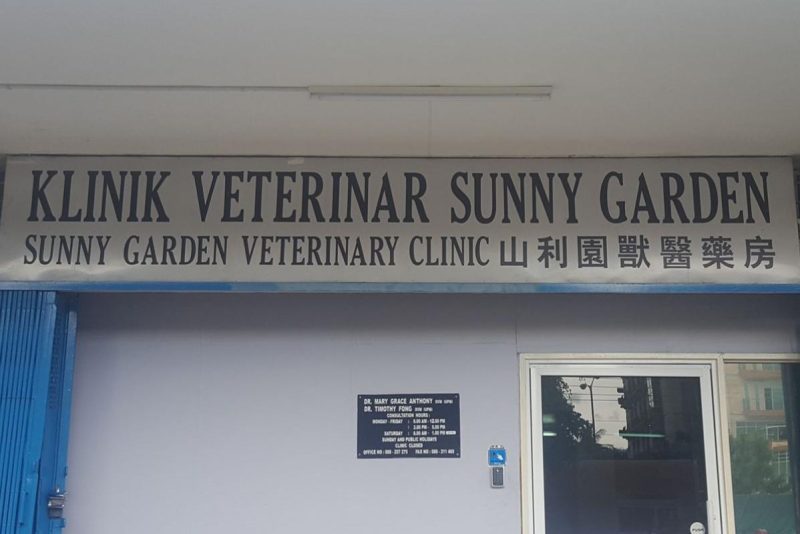 Top 10 Best Pet Clinics in Sabah 2024 The best one