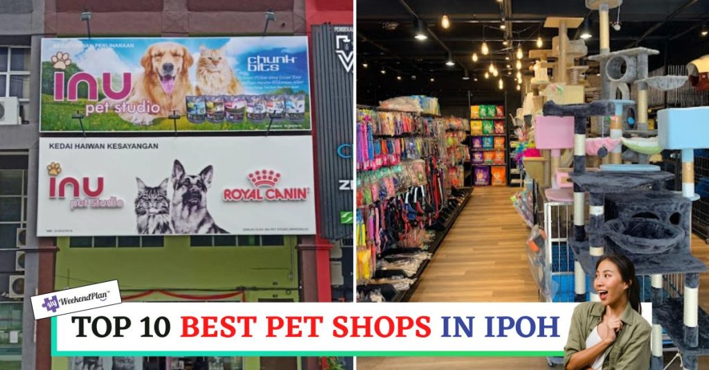 Top 10 Best Pet Shop in Ipoh 2024 Top rated