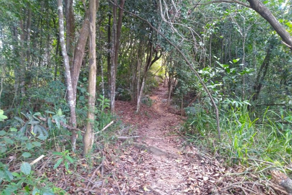 8 Tempat Mendaki dan Merentas Denai Terbaik di Kota Kinabalu 2025 7 Tirig-Hill-