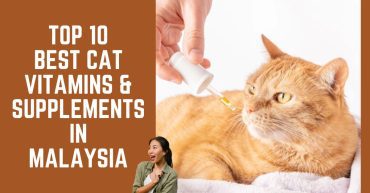 Top--Best-Cat-Vitamins-Supplements-in-Malaysia