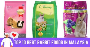 Top--Best-Rabbit-Foods-in-Malaysia