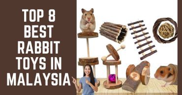 Top--Best-Rabbit-Toys-in-Malaysia