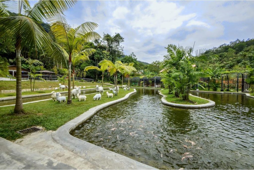 Top 10 Best Things To Do in Kampar 2025 10 Tour-Refarm-Kampar-