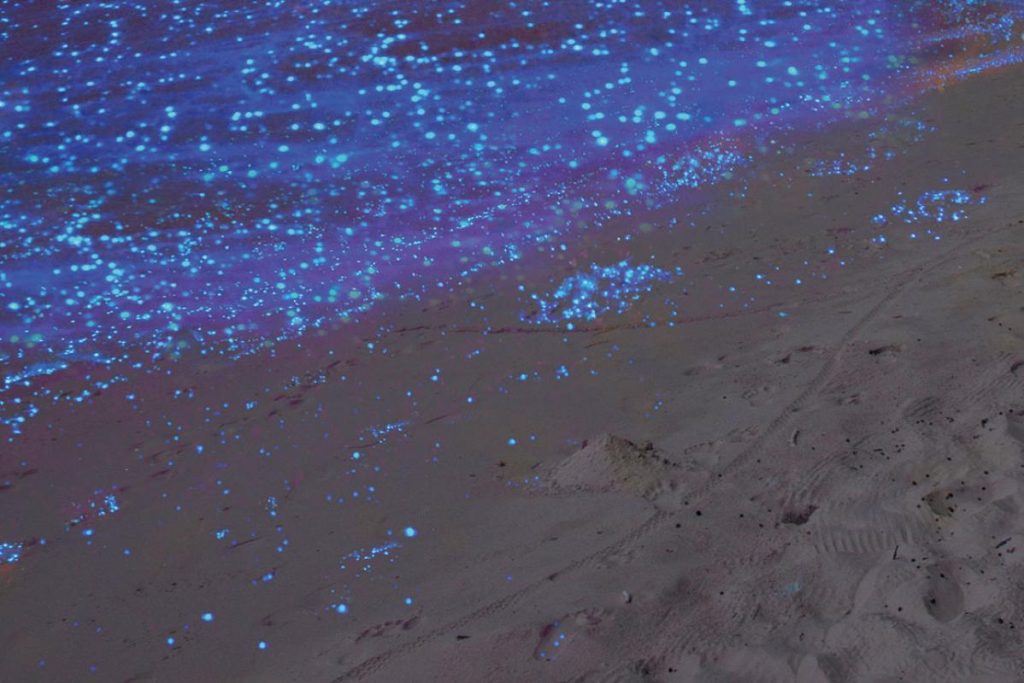 8 Pantai Terbaik di Miri 2025 5 Tusan-Bekenu-Beach-