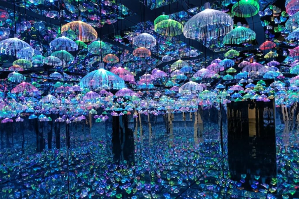 Top 10 Best Things To Do Near Kulai 2025 14 Visit-the-Bear-Bad-Illusion-Museum-