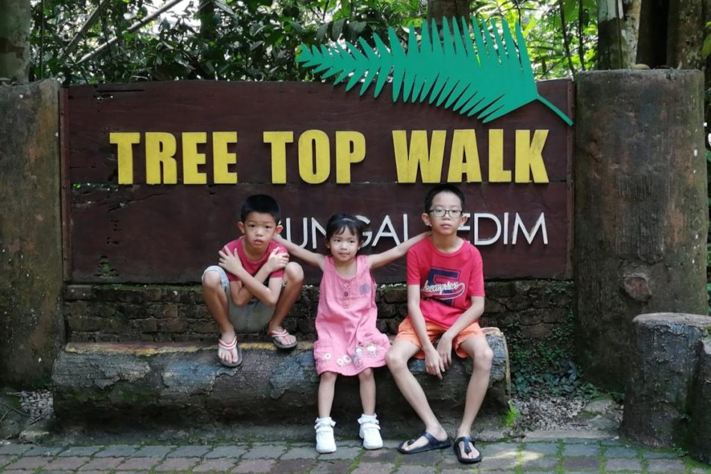 Top 10 Best Things To Do in Kedah 2025 9 Walk-Above-Treetops-At-the-Tree-Top-Walk-Sungai-Sedim-