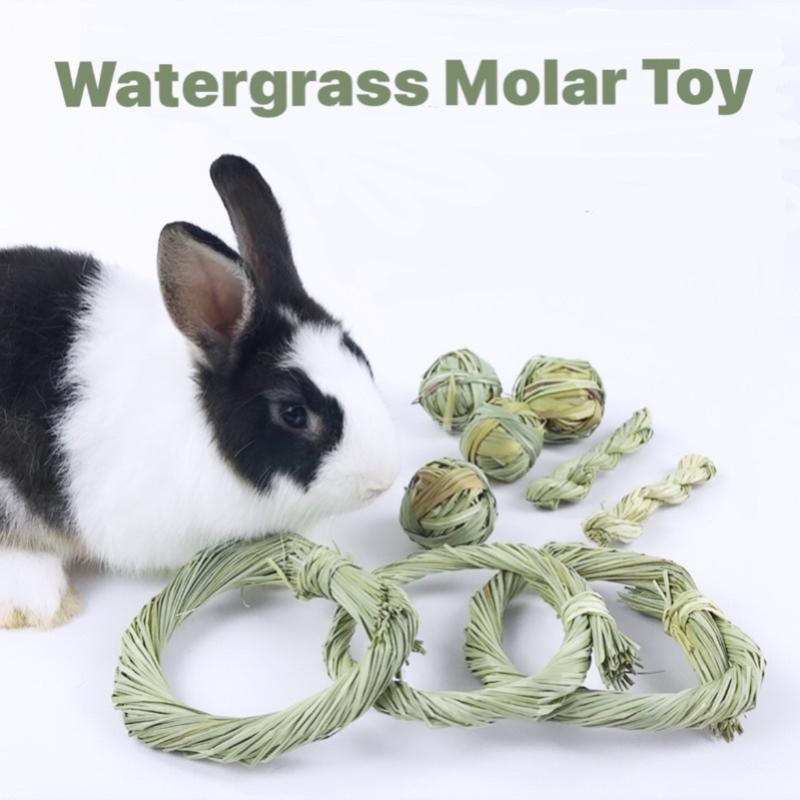 <strong>8 Mainan Arnab Terbaik di Malaysia 2025</strong> 6 Watergrass-Molar-Toy-