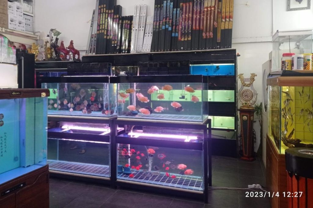 <strong>10 Kedai Akuarium Terbaik di Sarawak 2025</strong> 7 -Pets-Aquaculture-Trading-Sdn-Bhd-