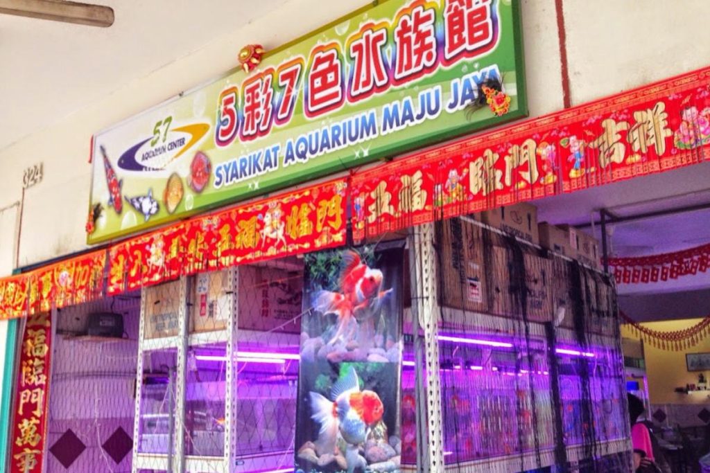 <strong>10 Kedai Akuarium Terbaik di Sarawak 2025</strong> 4 -Aquarium-Center