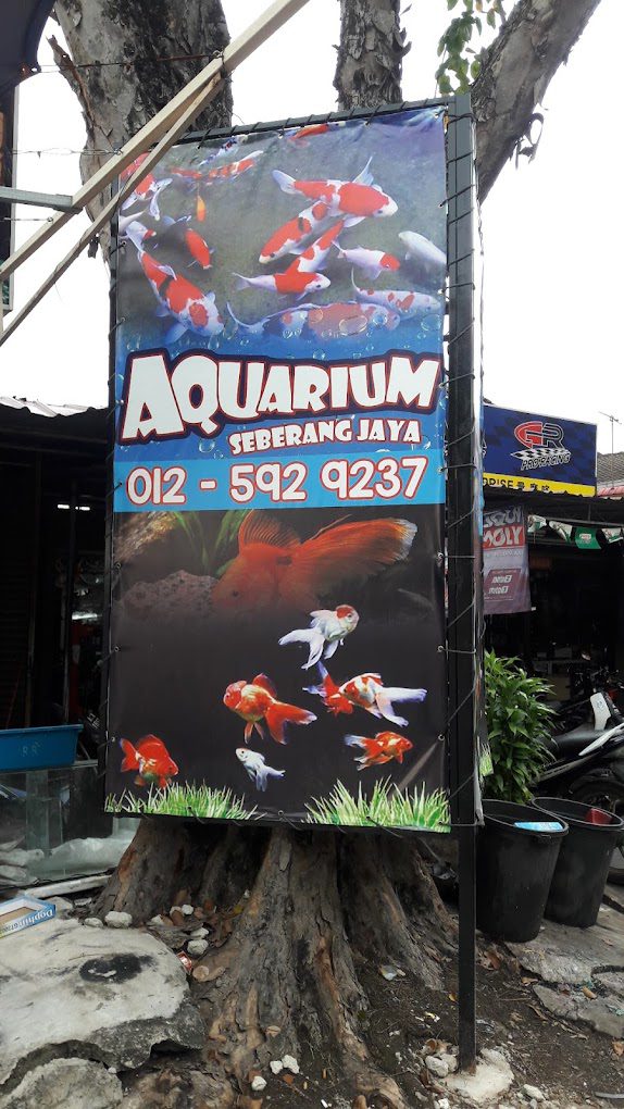 Top 10 Best Aquarium Shop in Penang 2025 16 Aquarium-Seberang-Jaya