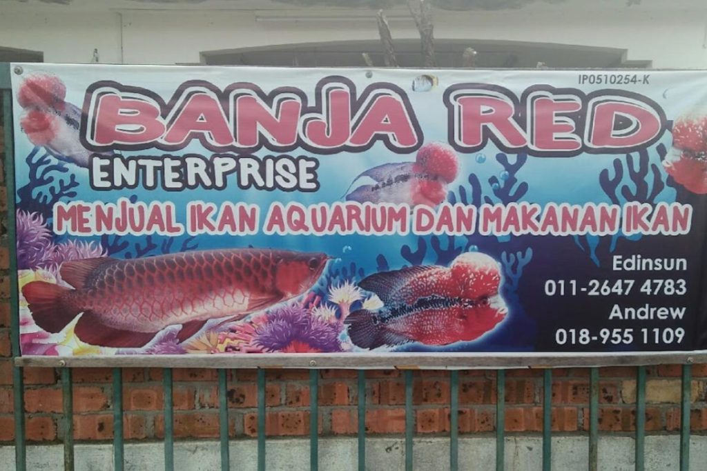 Top 10 Best Aquarium Shop in Ipoh 2025 12 Banja-Red-Enterprise