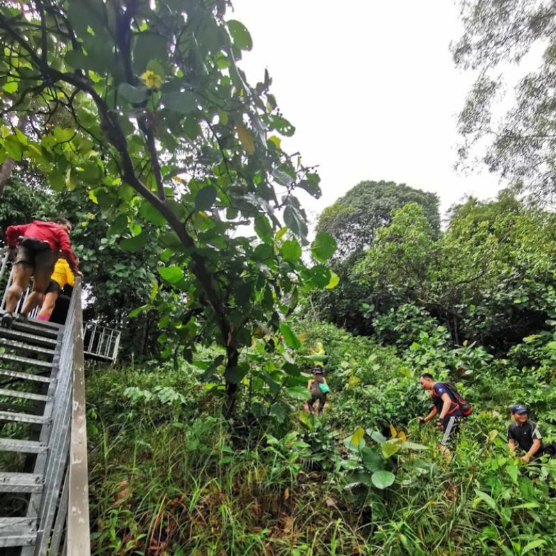 10 Tempat Mendaki Terbaik Berdekatan Puchong 2025 13 Bukit-Besi-Trailhead--