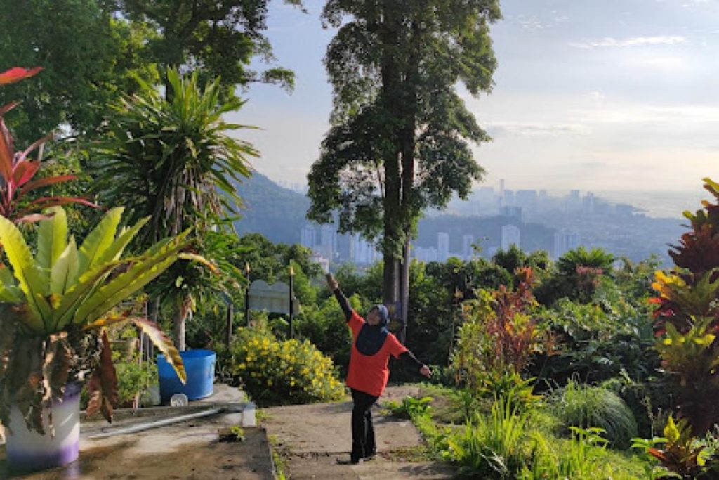 Top 10 Best Places For Hiking in Penang 2025 2 Bukit-Jambul-Hiking-Trail-