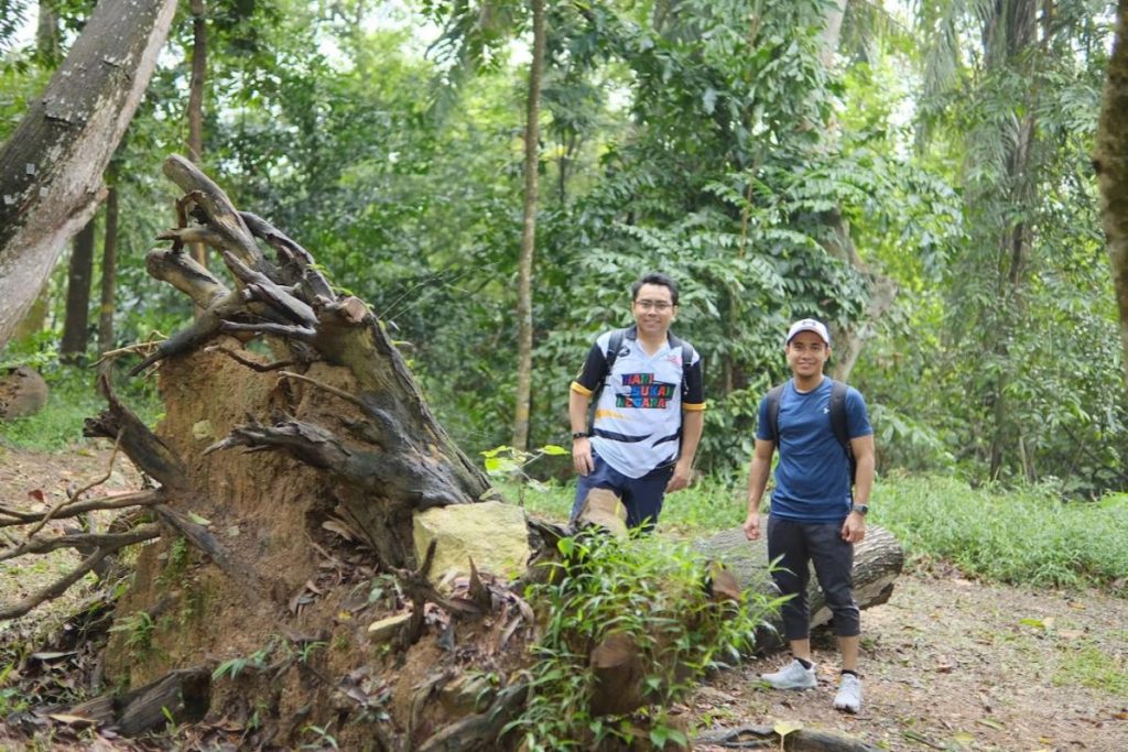 Top 10 Best Places For Hiking Near PJ 2025 8 Bukit-Kiara-Federal-Park