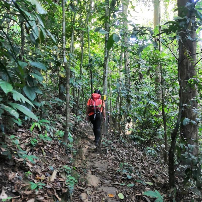 10 Tempat Mendaki Terbaik Berdekatan Cheras 2025 11 Bukit-Puteh-Waterfall-