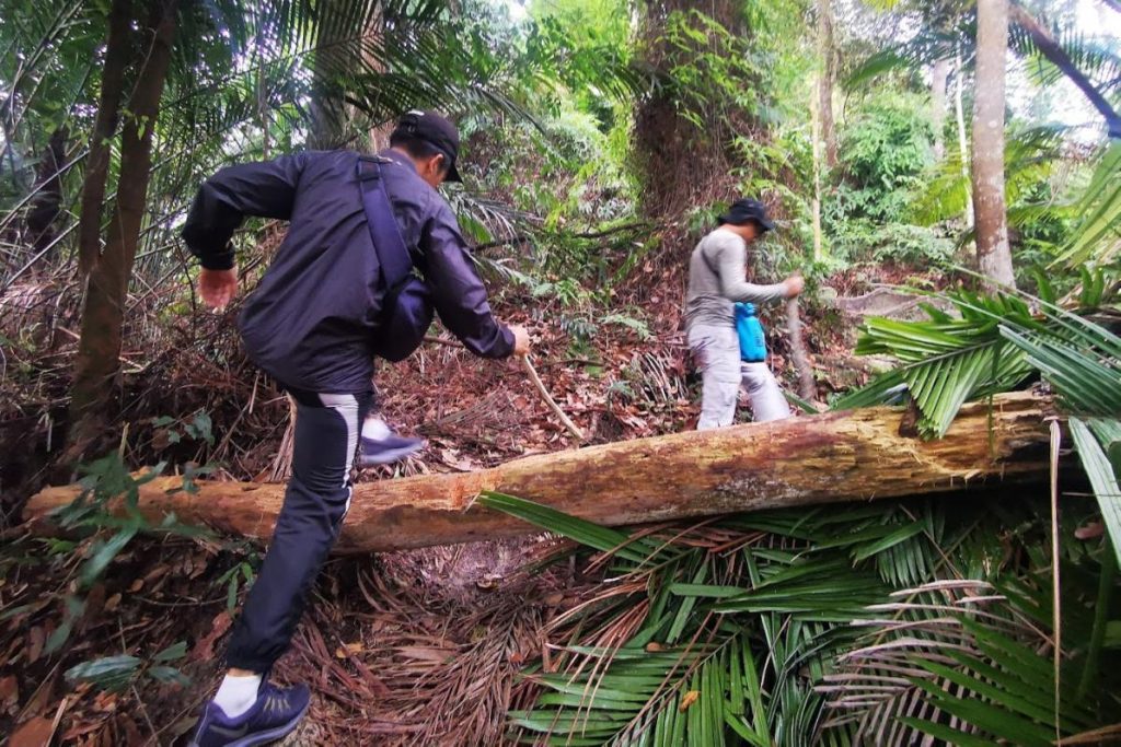 10 Tempat Mendaki Terbaik Berdekatan Cheras 2025 5 Bukit-Saga-via-Taman-Saga-