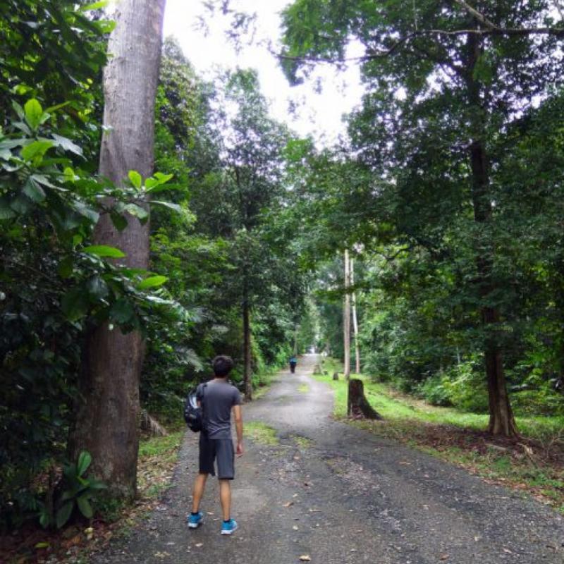 Top 10 Best Places For Hiking in Selangor 2025 21 Bukit-Sapu-Tangan-