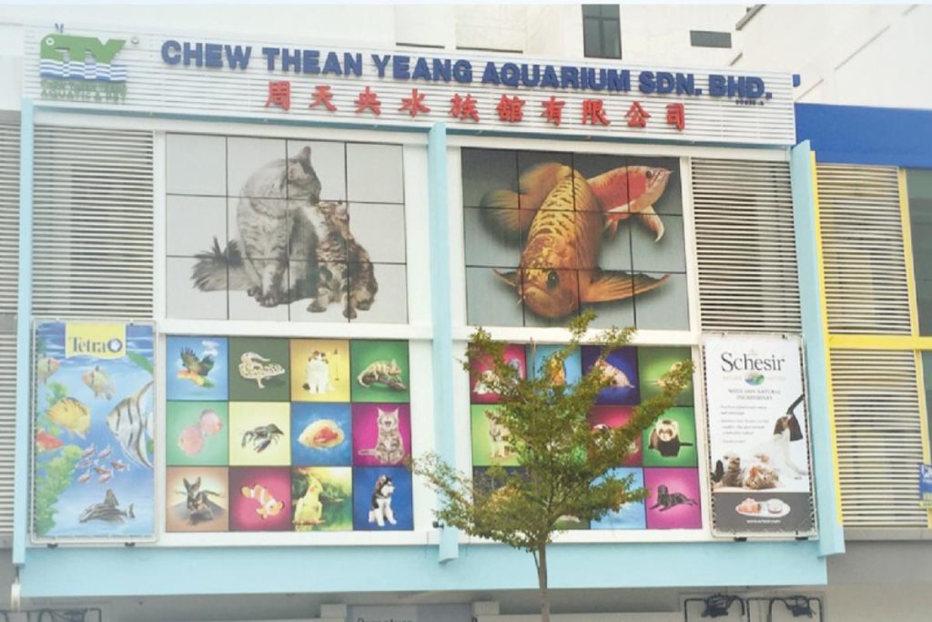 Top 10 Best Aquarium Shop in Penang 2025 2 Chew-Thean-Yeang-Aquatic-Pet-