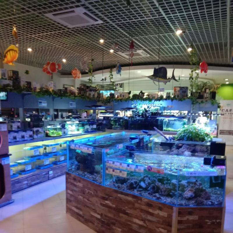 Top 10 Best Aquarium Shop in Penang 2025 3 Chew-Thean-Yeang-Aquatic-Pet-