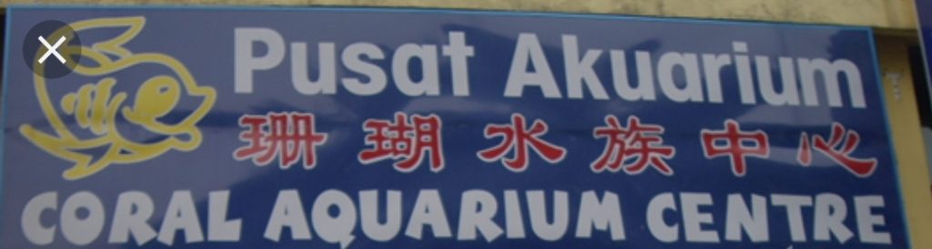 10 Kedai Akuarium Terbaik di Johor 2025 4 Coral-Aquarium-Centre