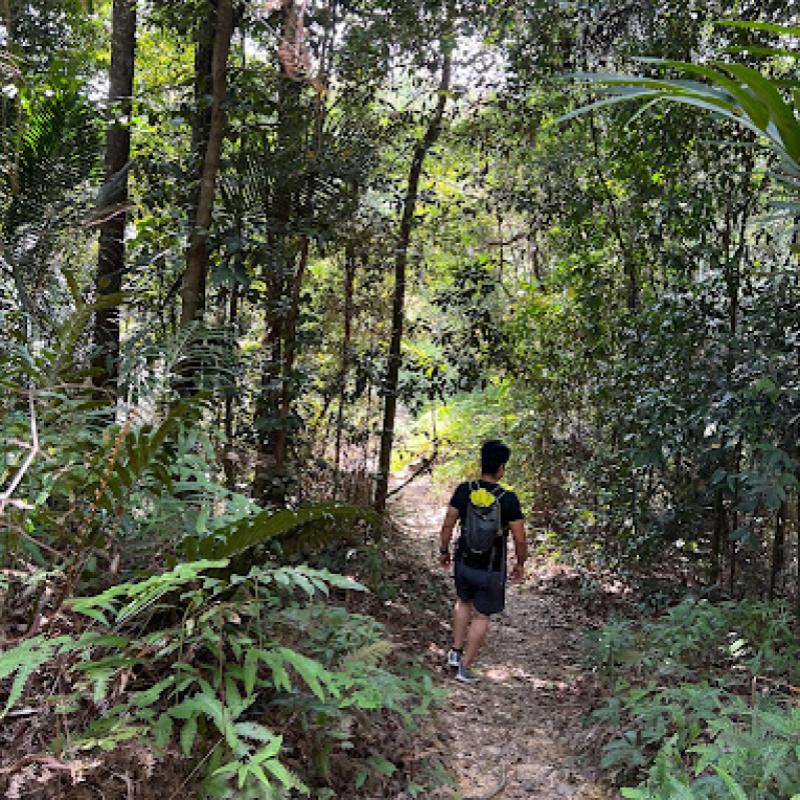 10 Tempat Mendaki Terbaik Berdekatan Puchong 2025 21 Damai-Utama-Trail-Peak-